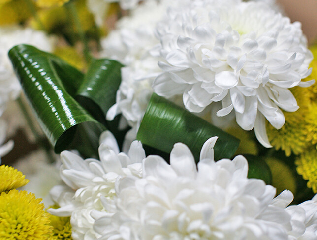 Bouquet of chrysanthemums 'White Symphony' photo